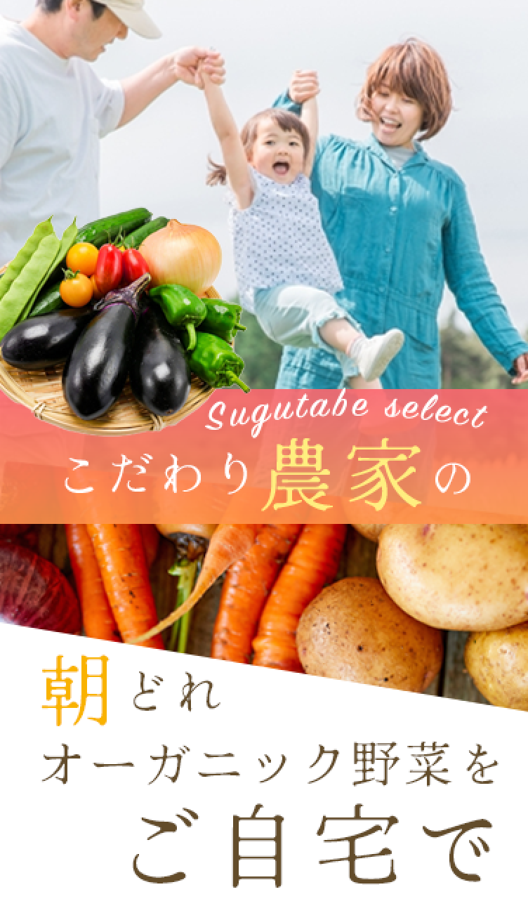 こだわり農家の朝どれオーガニック野菜をご自宅で
